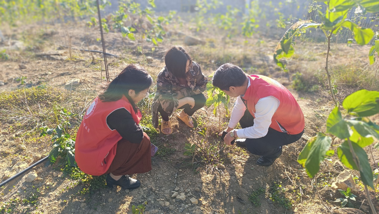 1697603906355699.png 图片3.png