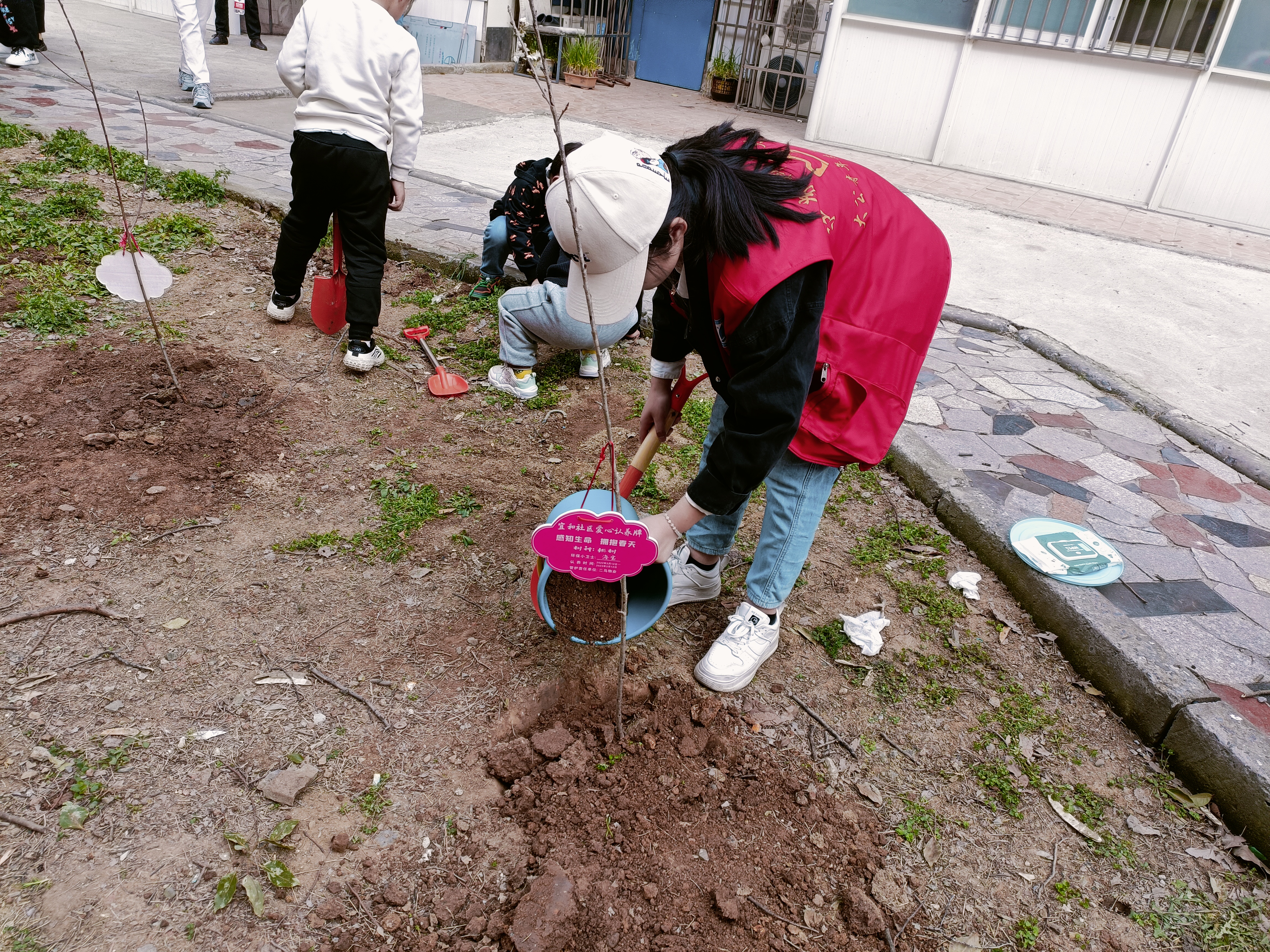 1678694462405921.jpg 1678694462405921.jpg