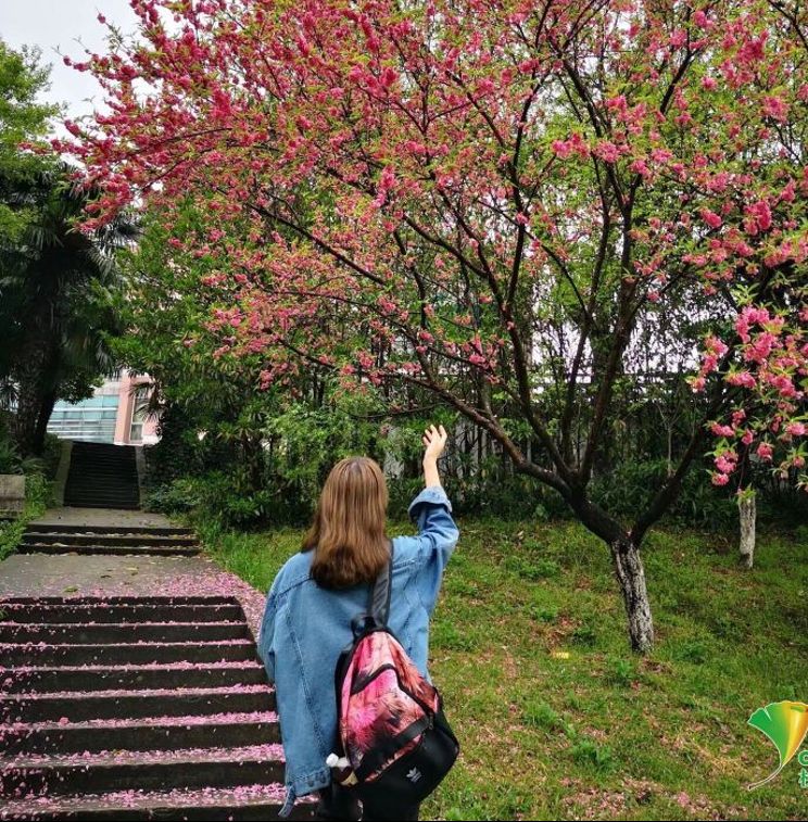 1583856052659994.jpg 图片2.jpg