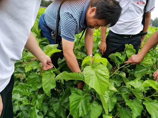 江科大生物技术学院赴泗洪科普助农